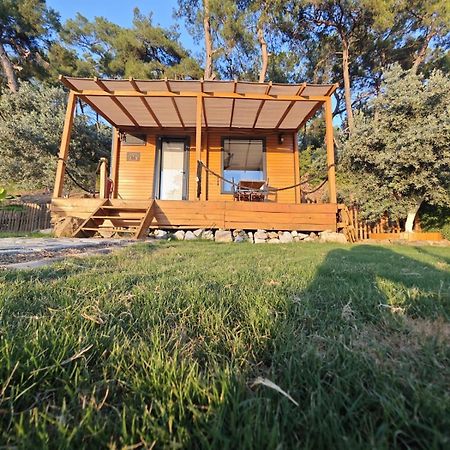 Tiny Mini House Hotel Dalaman Kültér fotó