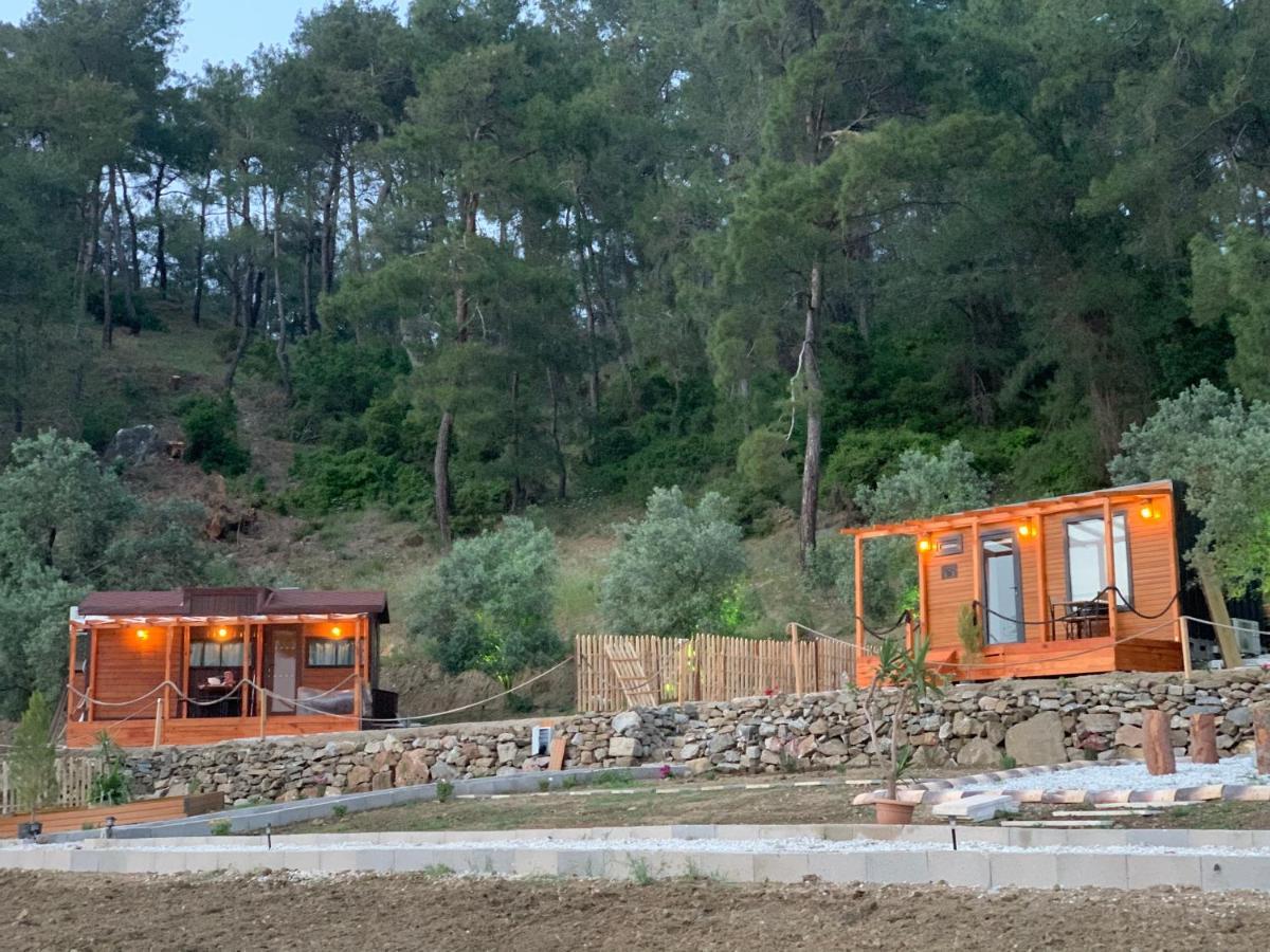 Tiny Mini House Hotel Dalaman Kültér fotó