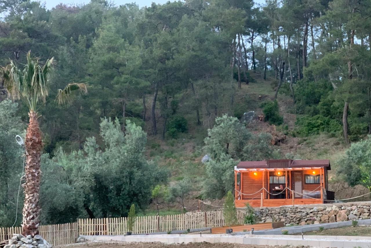 Tiny Mini House Hotel Dalaman Kültér fotó