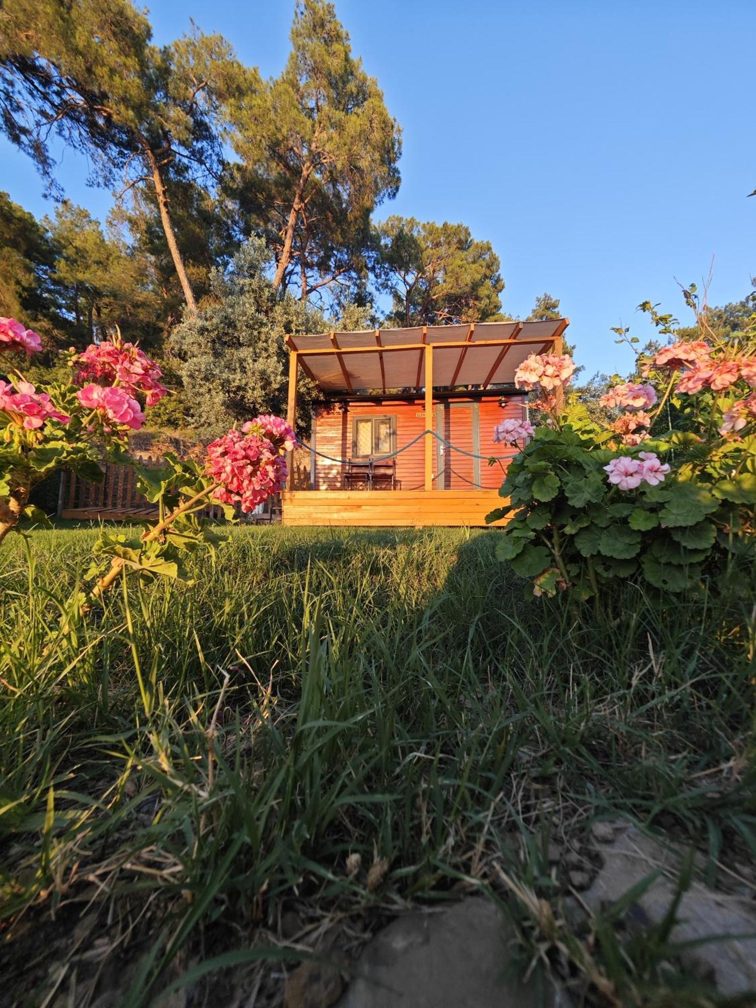 Tiny Mini House Hotel Dalaman Kültér fotó