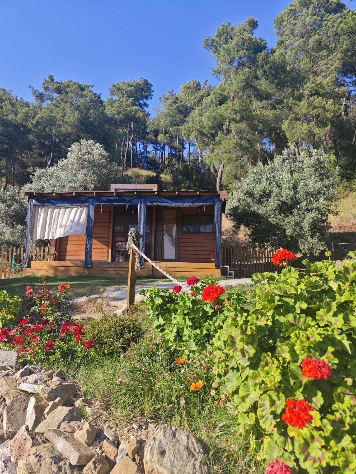 Tiny Mini House Hotel Dalaman Kültér fotó