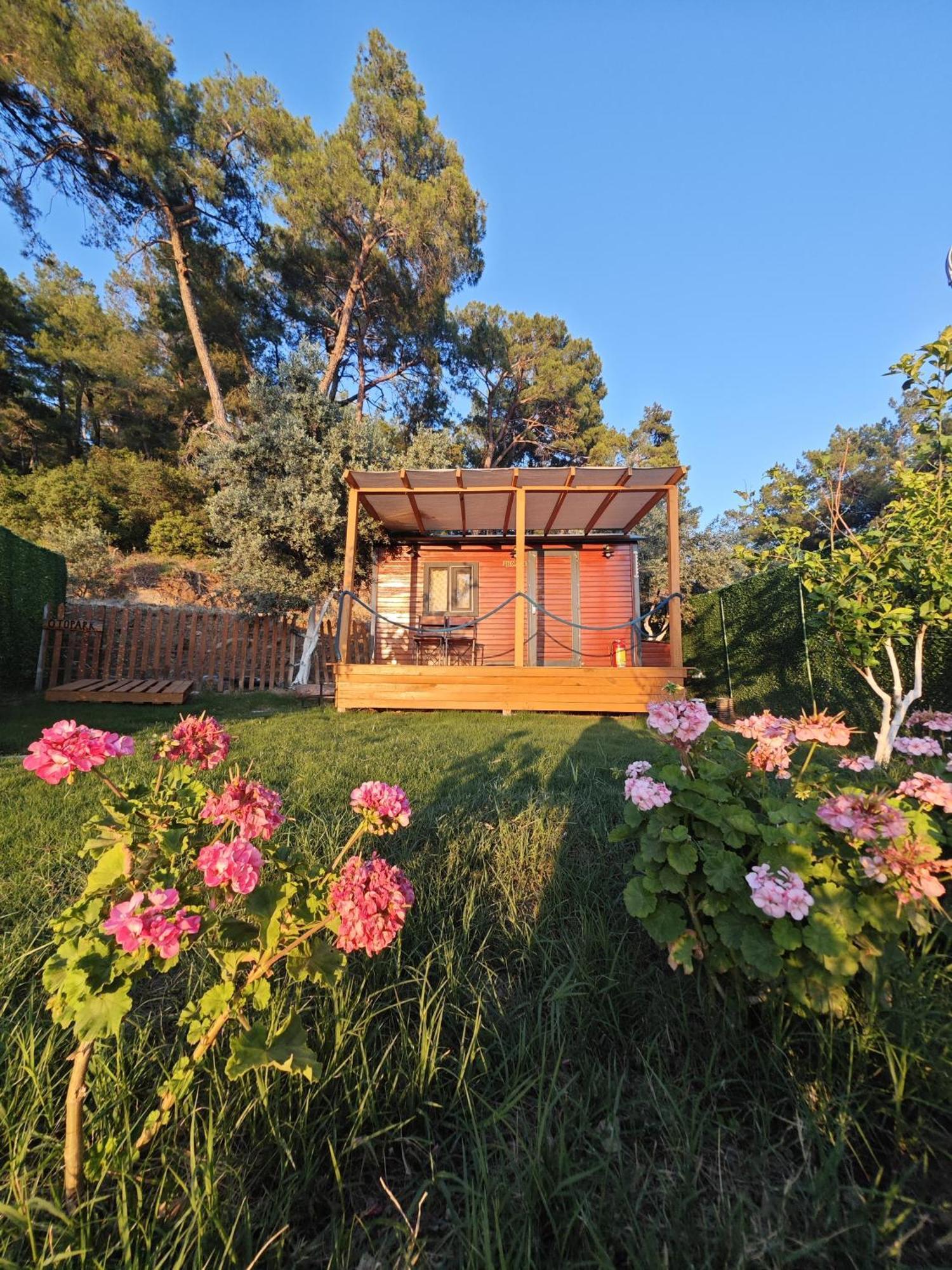 Tiny Mini House Hotel Dalaman Kültér fotó